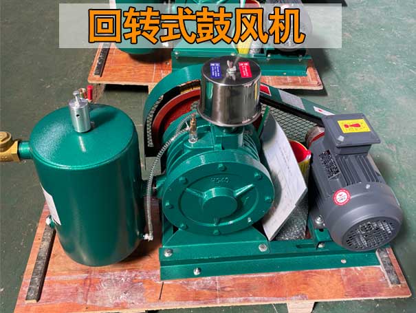 回轉(zhuǎn)式風機與羅茨風機在性能上有哪些差異？